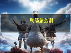 鸭肠怎么涮