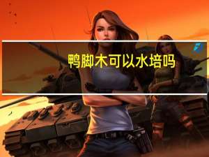 鸭脚木可以水培吗