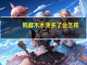 鸭脚木水浇多了会怎样