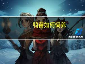 鸭苗如何饲养