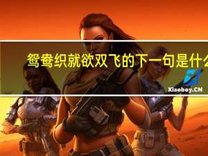 鸳鸯织就欲双飞的下一句是什么