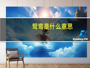 鸳鸾是什么意思