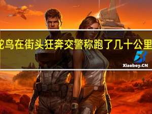 鸵鸟在街头狂奔 交警称跑了几十公里！专家：一定不能擅自靠近