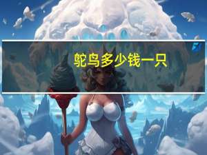 鸵鸟多少钱一只
