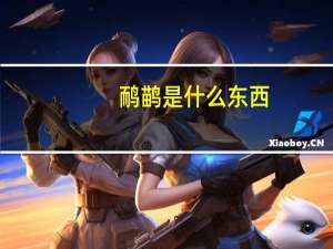 鸸鹋是什么东西