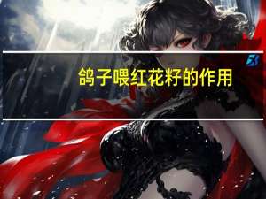 鸽子喂红花籽的作用（红花籽的作用）