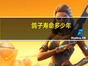 鸽子寿命多少年