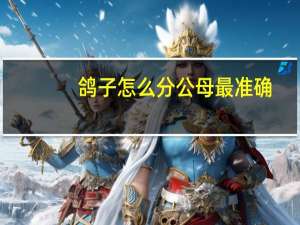 鸽子怎么分公母 最准确（鸽子怎么分辨公母）