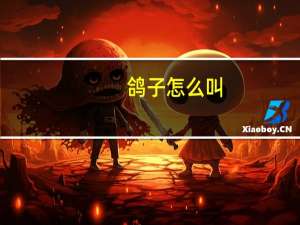 鸽子怎么叫