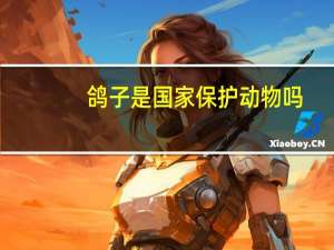 鸽子是国家保护动物吗