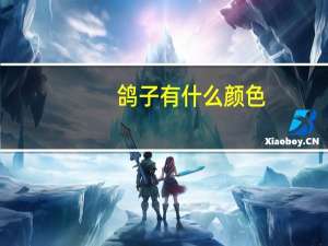 鸽子有什么颜色