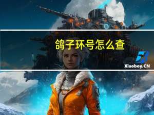 鸽子环号怎么查