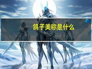 鸽子美称是什么