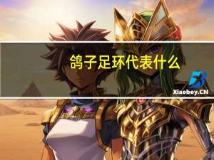 鸽子足环代表什么