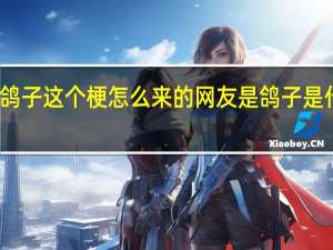 鸽子这个梗怎么来的 网友是鸽子是什么梗