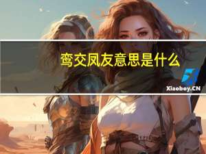 鸾交凤友意思是什么