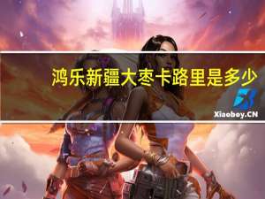 鸿乐 新疆大枣卡路里是多少