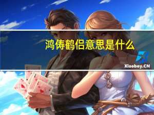 鸿俦鹤侣意思是什么