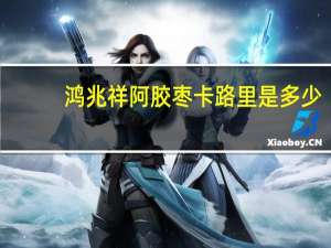 鸿兆祥 阿胶枣卡路里是多少