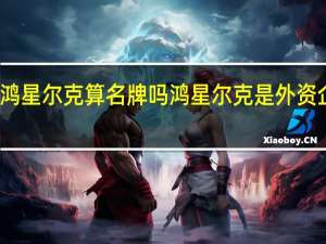 鸿星尔克算名牌吗 鸿星尔克是外资企业吗