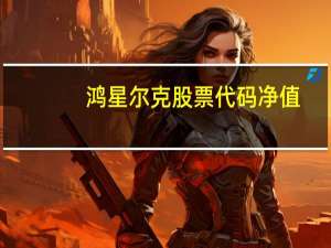 鸿星尔克股票代码净值（鸿星尔克股票代码是什么）