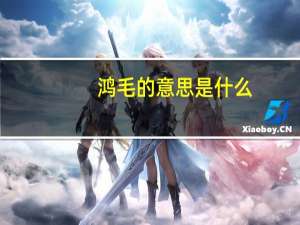 鸿毛的意思是什么