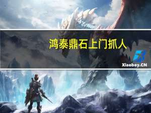 鸿泰鼎石上门抓人（鸿泰鼎石）