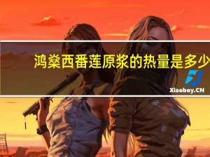 鸿燊 西番莲原浆的热量是多少