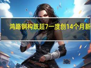 鸿路钢构跌超7%一度创14个月新低