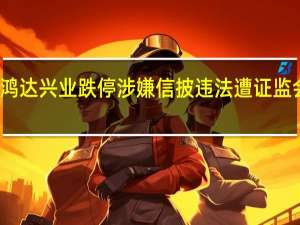 鸿达兴业跌停涉嫌信披违法遭证监会立案