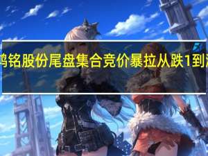 鸿铭股份尾盘集合竞价暴拉 从跌1%到涨近15%