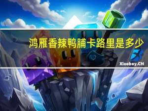 鸿雁 香辣鸭脯卡路里是多少
