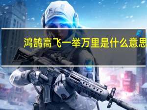 鸿鹄高飞一举万里是什么意思