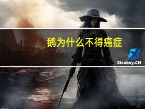 鹅为什么不得癌症