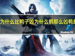 鹅为什么比鸭子凶 为什么鹅那么凶鸭却不可以