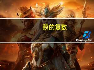 鹅的复数