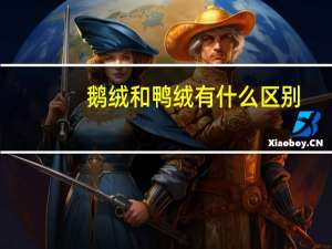 鹅绒和鸭绒有什么区别