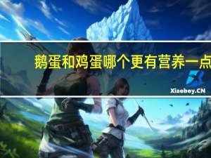 鹅蛋和鸡蛋哪个更有营养一点（鹅蛋和鸡蛋哪个更有营养）
