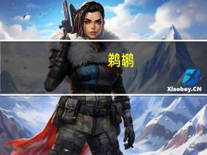 鹈鹕（关于鹈鹕的介绍）