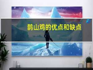 鹊山鸡的优点和缺点