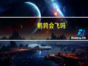鹌鹑会飞吗_
