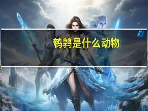 鹌鹑是什么动物