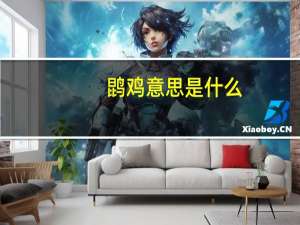 鹍鸡意思是什么