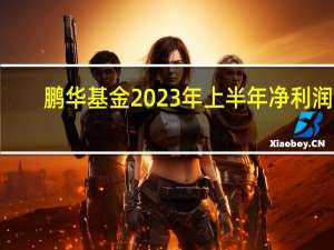 鹏华基金2023年上半年净利润4.88亿元
