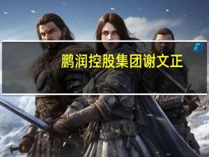 鹏润控股集团谢文正（黄秀虹-鹏润控股集团董事长介绍）
