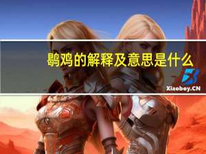 鹖鸡的解释及意思是什么