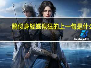 鹘似身轻蝶似狂的上一句是什么