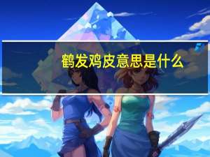 鹤发鸡皮意思是什么