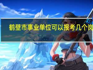 鹤壁市事业单位可以报考几个岗位