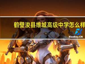 鹤壁浚县维城高级中学怎么样